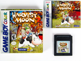 Harvest Moon 2 (Nintendo Game Boy Color / GBC)