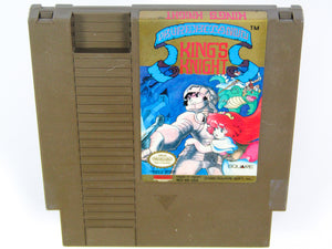 King's Knight (Nintendo / NES)