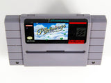 Pilotwings (Super Nintendo / SNES)