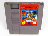 Tag Team Wrestling (Nintendo / NES)