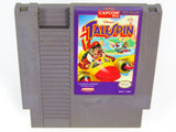 TaleSpin (Nintendo / NES)