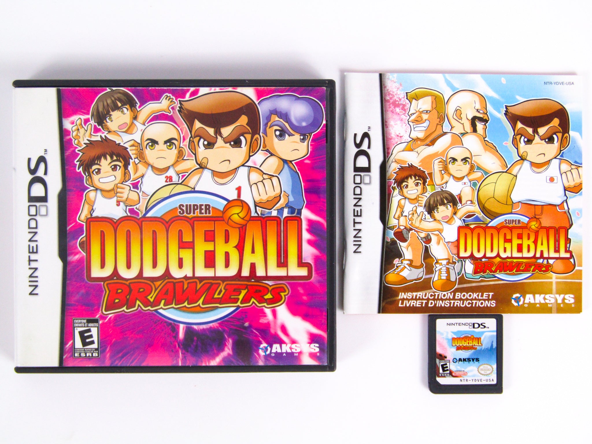 Super Dodgeball Brawlers (Nintendo DS) – RetroMTL