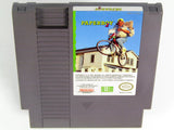 Paperboy 2 (Nintendo / NES)