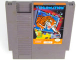 Videomation (Nintendo / NES)