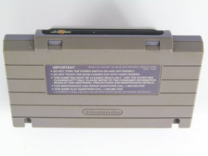 ActRaiser (Super Nintendo / SNES) - RetroMTL