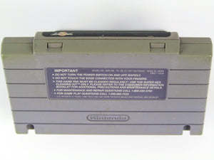 ActRaiser (Super Nintendo / SNES) - RetroMTL