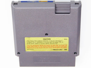 Advanced Dungeons & Dragons Heroes Of The Lance (Nintendo / NES) - RetroMTL