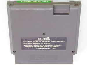 Adventure Island (Nintendo / NES) - RetroMTL