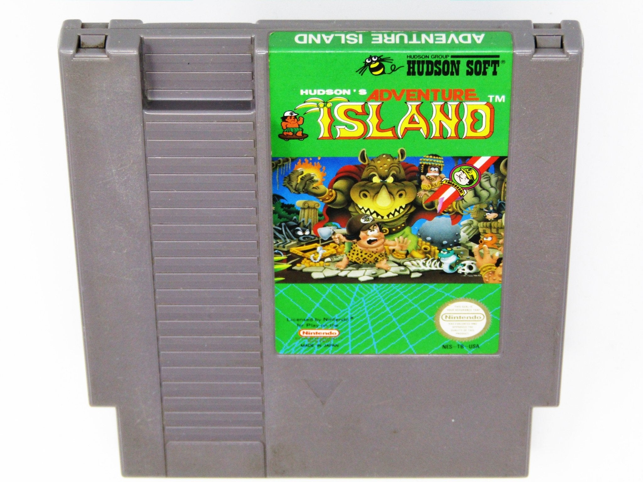 Adventure Island (Nintendo / NES) - RetroMTL