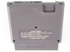 Adventures of Lolo 3 (Nintendo / NES) - RetroMTL