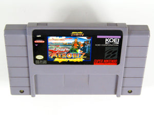 Aerobiz Supersonic (Super Nintendo / SNES) - RetroMTL