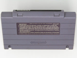 Animaniacs (Super Nintendo / SNES) - RetroMTL