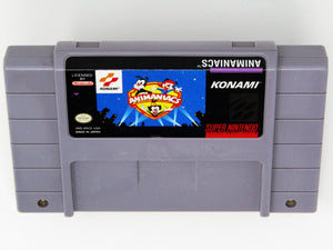Animaniacs (Super Nintendo / SNES) - RetroMTL