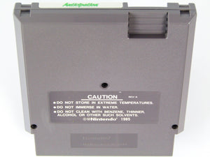 Anticipation (Nintendo / NES) - RetroMTL