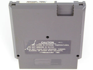 Arkista's Ring (Nintendo / NES) - RetroMTL