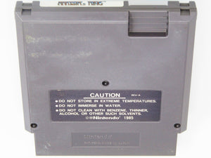 Arkista's Ring (Nintendo / NES) - RetroMTL