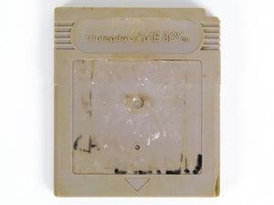 Bart Simpson's Escape From Camp Deadly (Game Boy) - RetroMTL