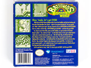 Battletoads In Ragnarok's World (Game Boy) - RetroMTL