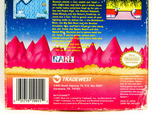 Battletoads (Nintendo / NES) - RetroMTL