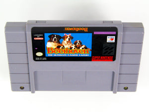 Beethoven (Super Nintendo / SNES) - RetroMTL