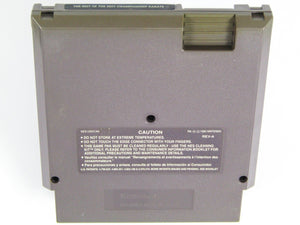 Best Of The Best Championship Karate (Nintendo / NES) - RetroMTL