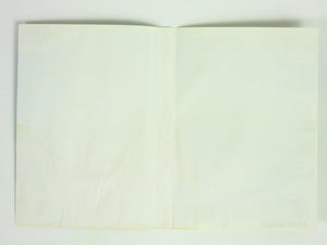 Big Beach Sports (Nintendo Wii) - RetroMTL