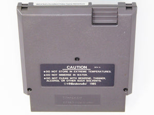 Bill and Ted's Excellent Video Game (Nintendo / NES) - RetroMTL