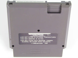 Bill and Ted's Excellent Video Game (Nintendo / NES) - RetroMTL